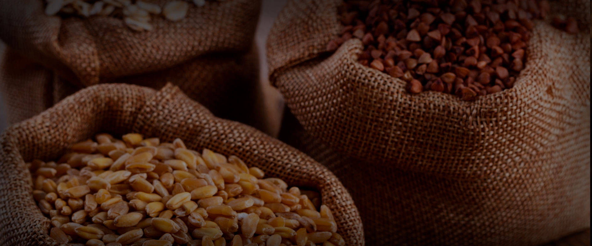 produtos mercado de cereais e rações