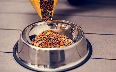 Ração Pet & Nutrição Animal 